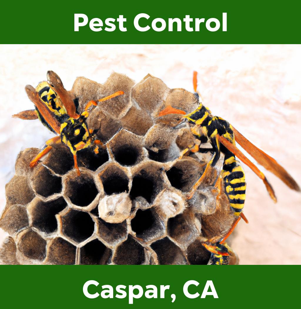 pest control in Caspar California