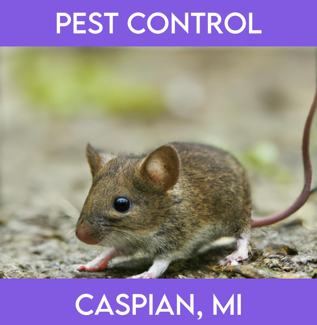 pest control in Caspian Michigan