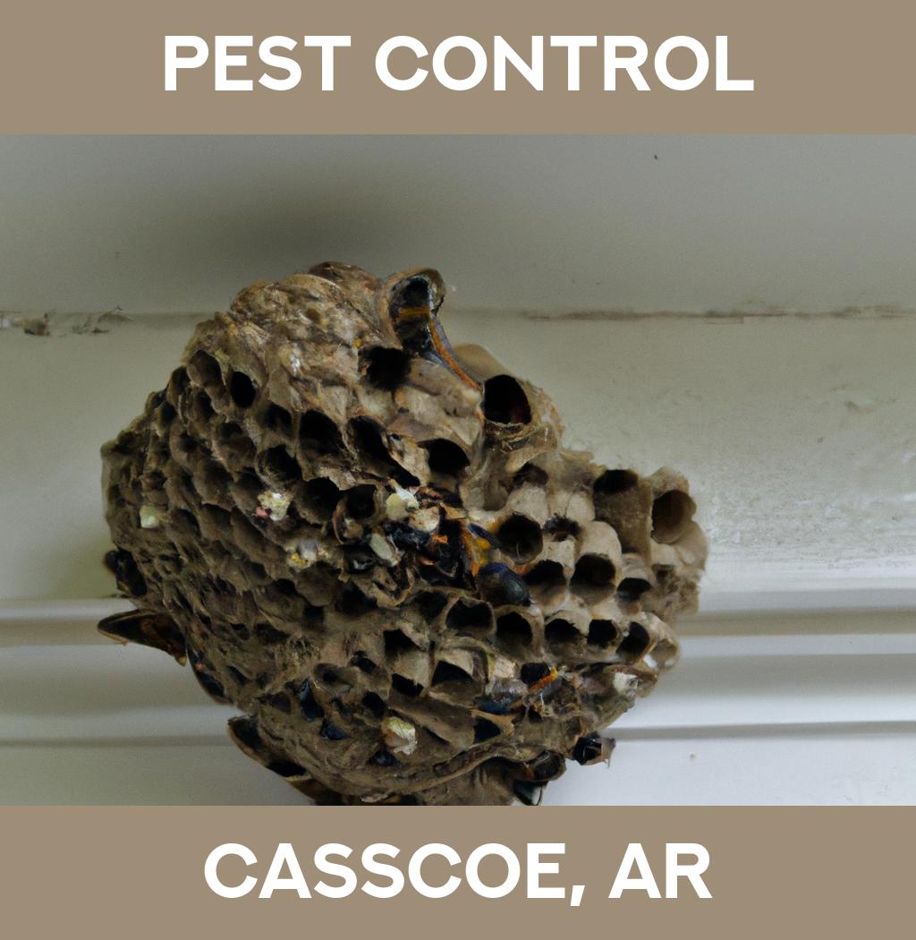 pest control in Casscoe Arkansas