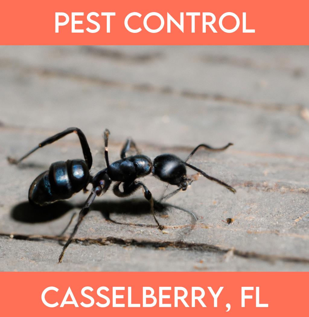 pest control in Casselberry Florida