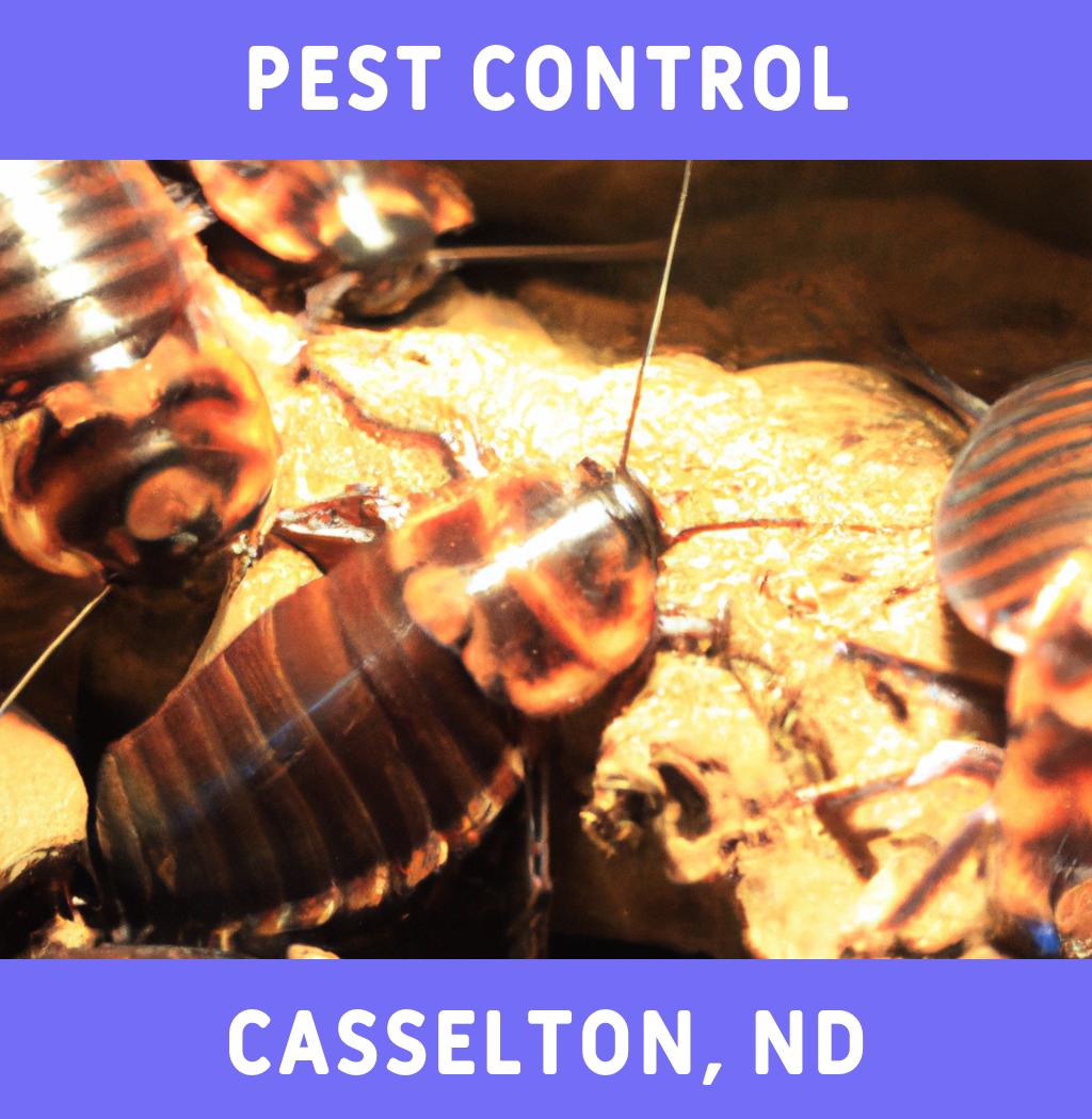pest control in Casselton North Dakota