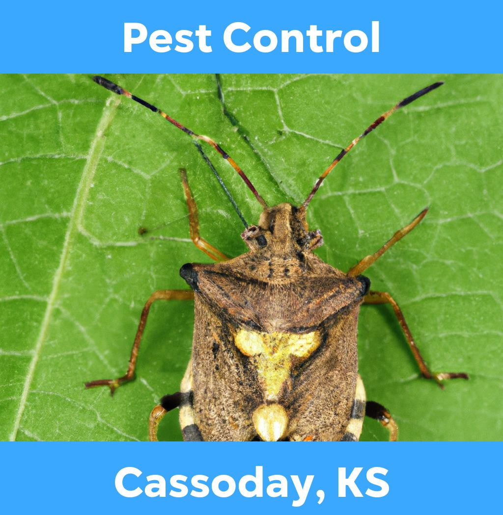 pest control in Cassoday Kansas