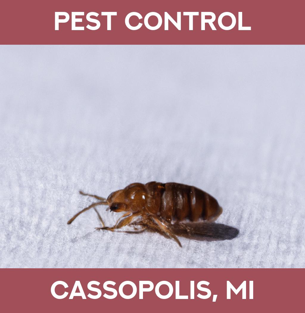 pest control in Cassopolis Michigan
