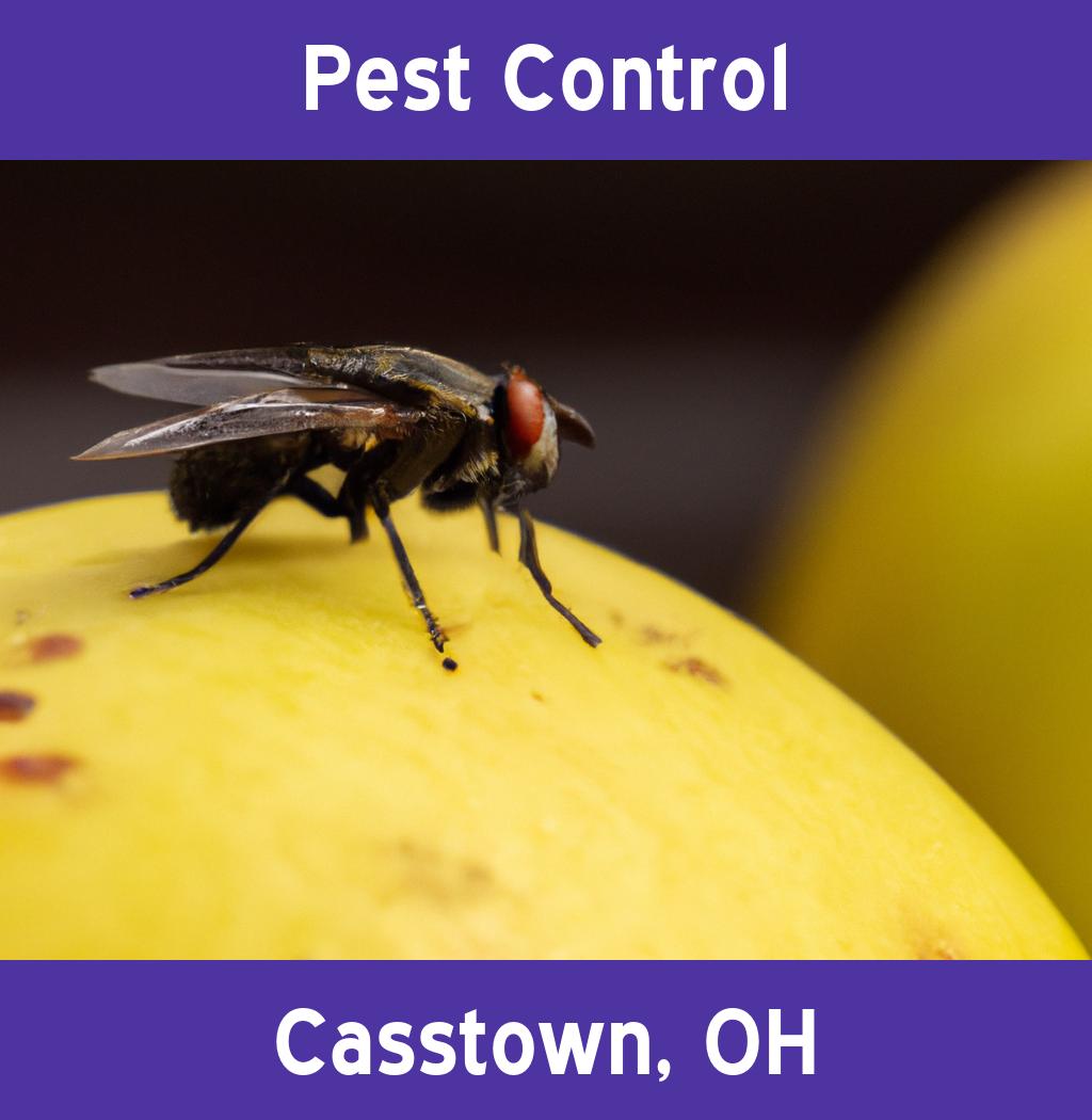 pest control in Casstown Ohio