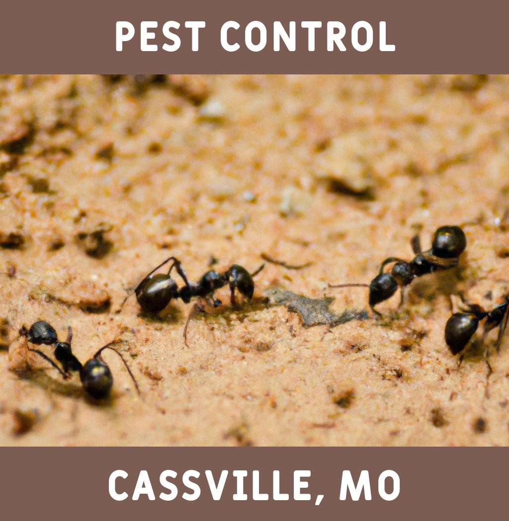 pest control in Cassville Missouri
