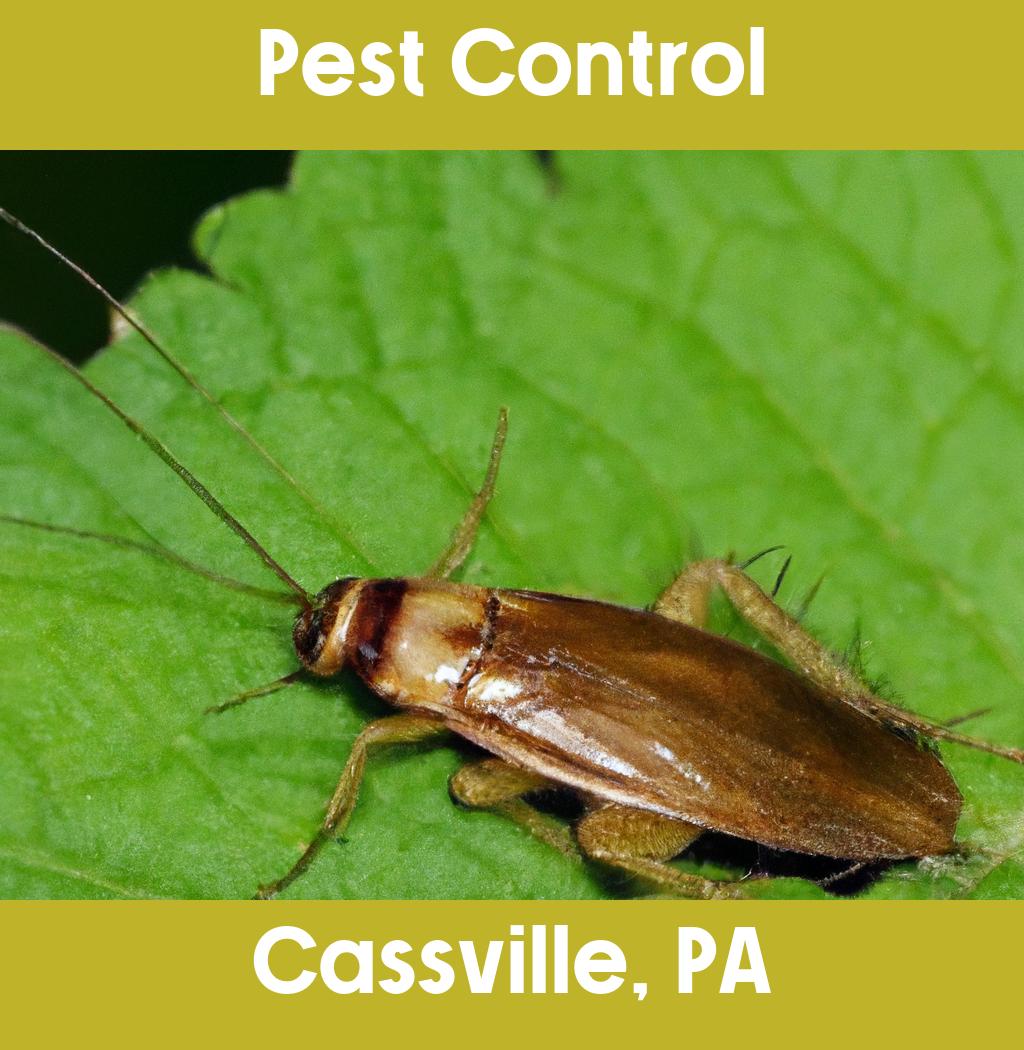 pest control in Cassville Pennsylvania