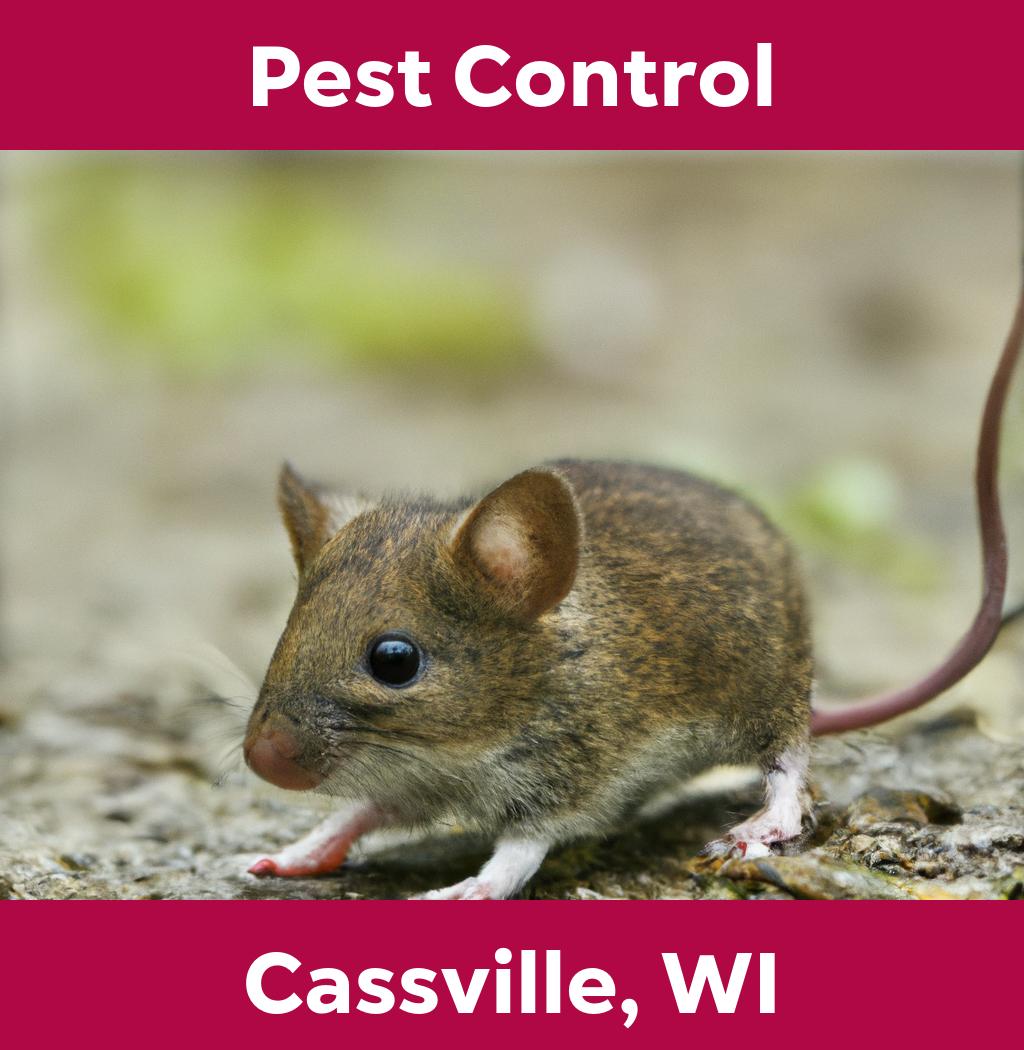 pest control in Cassville Wisconsin