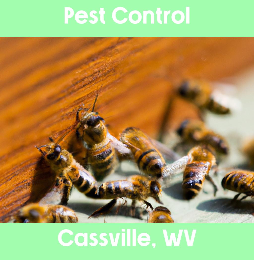 pest control in Cassville West Virginia
