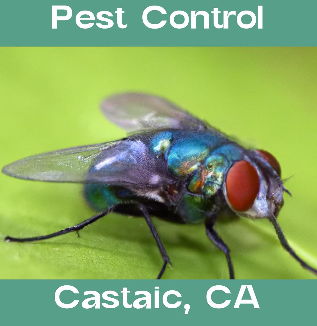 pest control in Castaic California