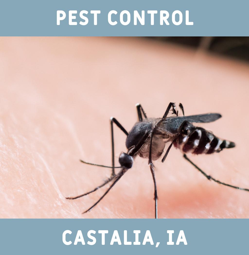 pest control in Castalia Iowa