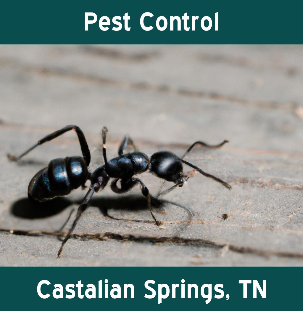 pest control in Castalian Springs Tennessee