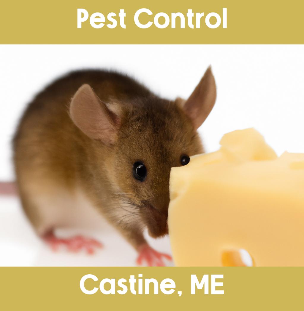 pest control in Castine Maine