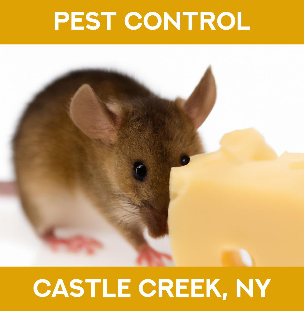pest control in Castle Creek New York