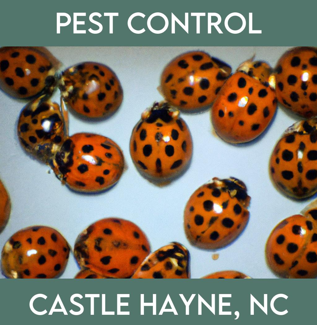 pest control in Castle Hayne North Carolina