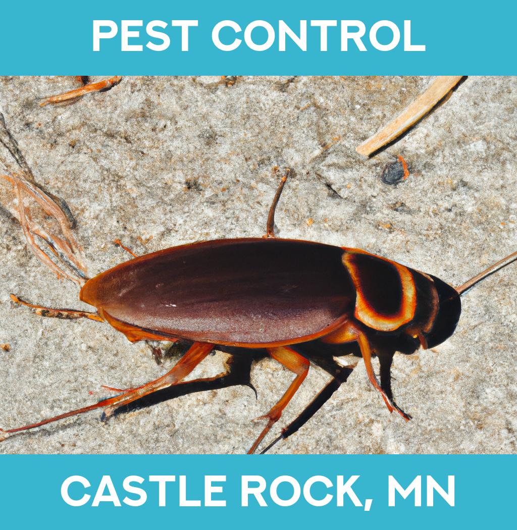 pest control in Castle Rock Minnesota