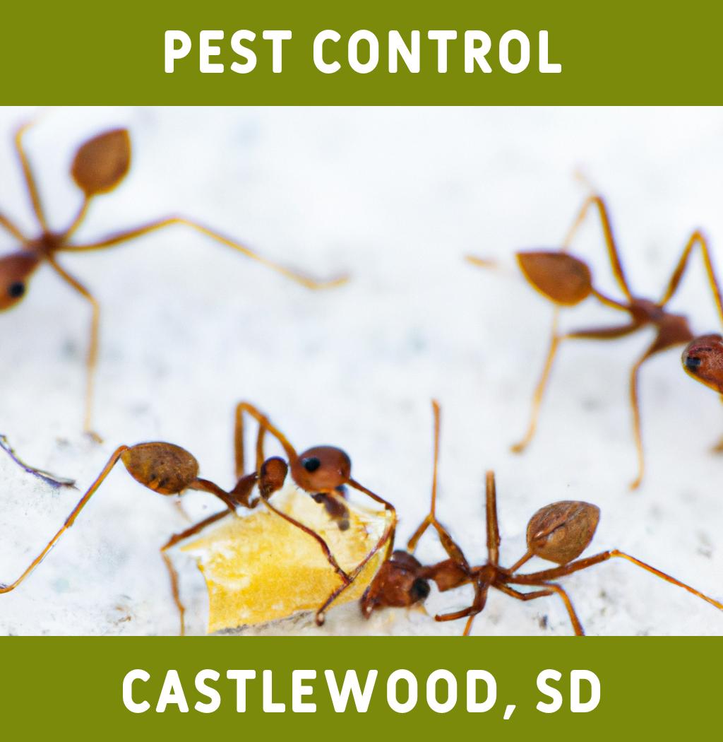 pest control in Castlewood South Dakota