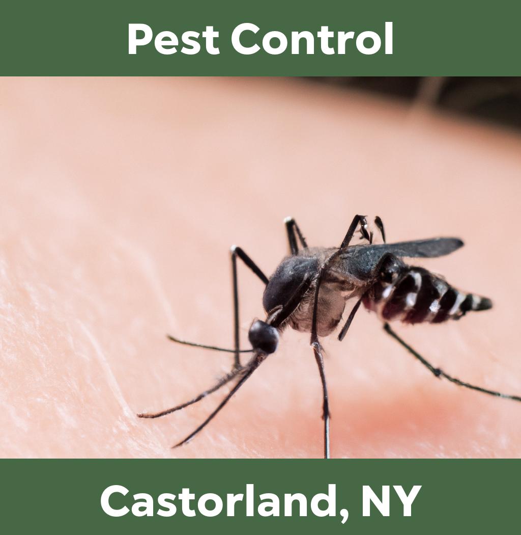 pest control in Castorland New York