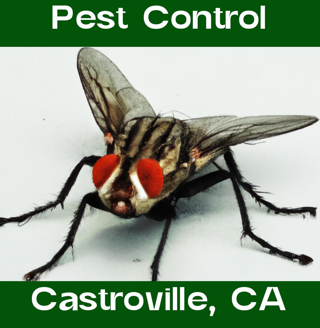 pest control in Castroville California