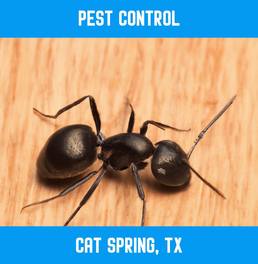 pest control in Cat Spring Texas