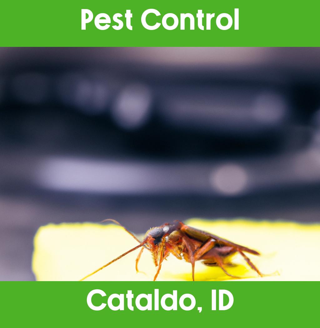 pest control in Cataldo Idaho