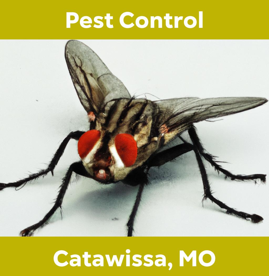 pest control in Catawissa Missouri