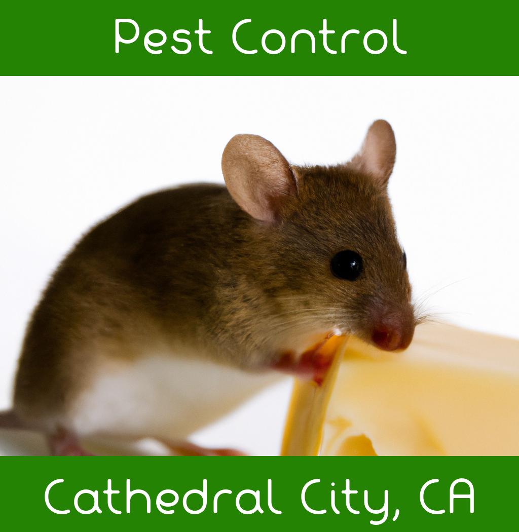 pest control in Cathedral City California