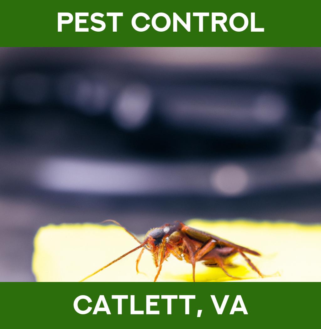 pest control in Catlett Virginia