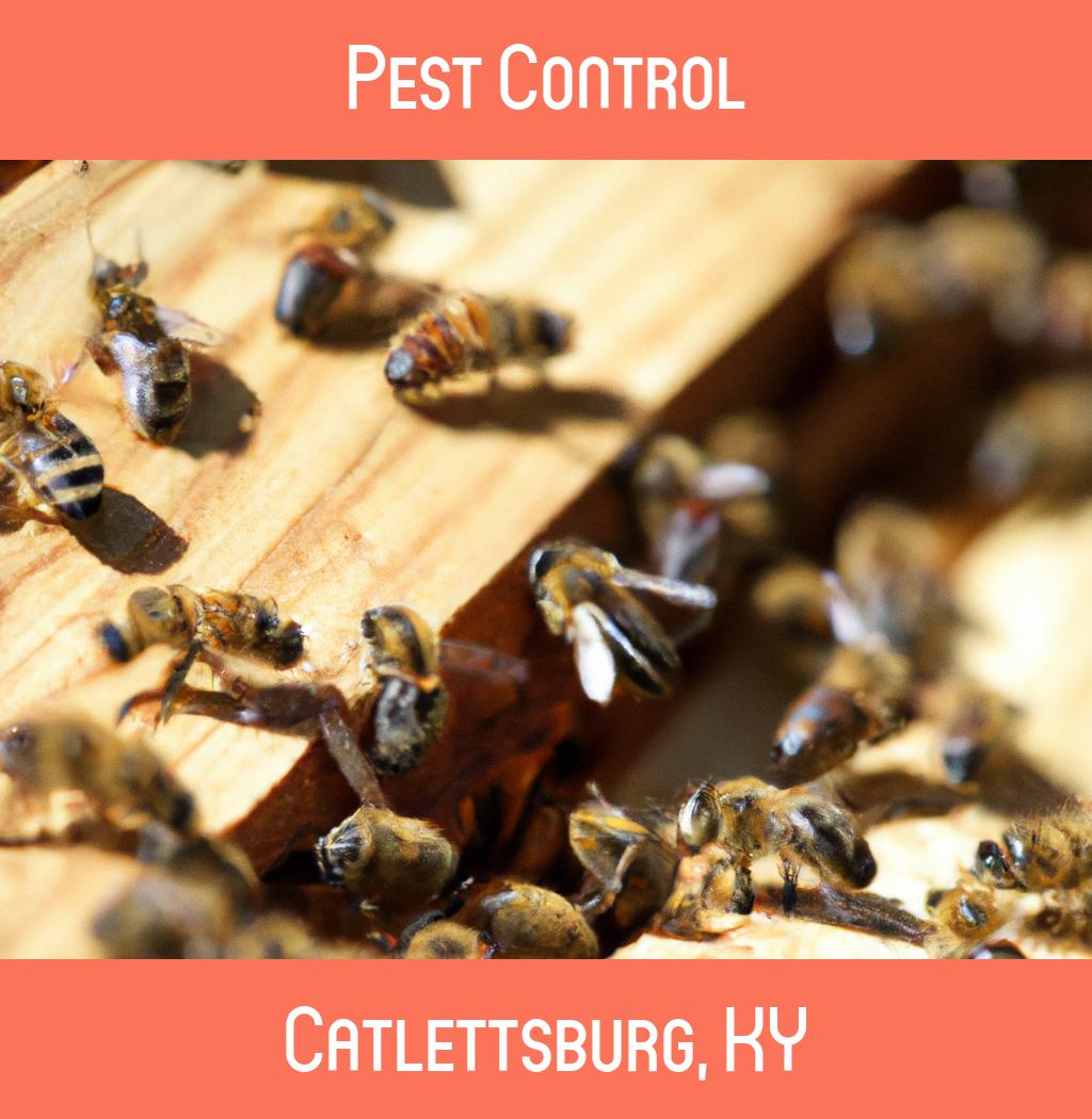 pest control in Catlettsburg Kentucky