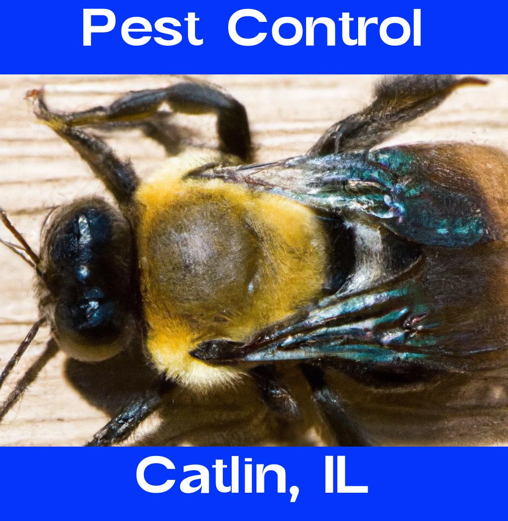 pest control in Catlin Illinois