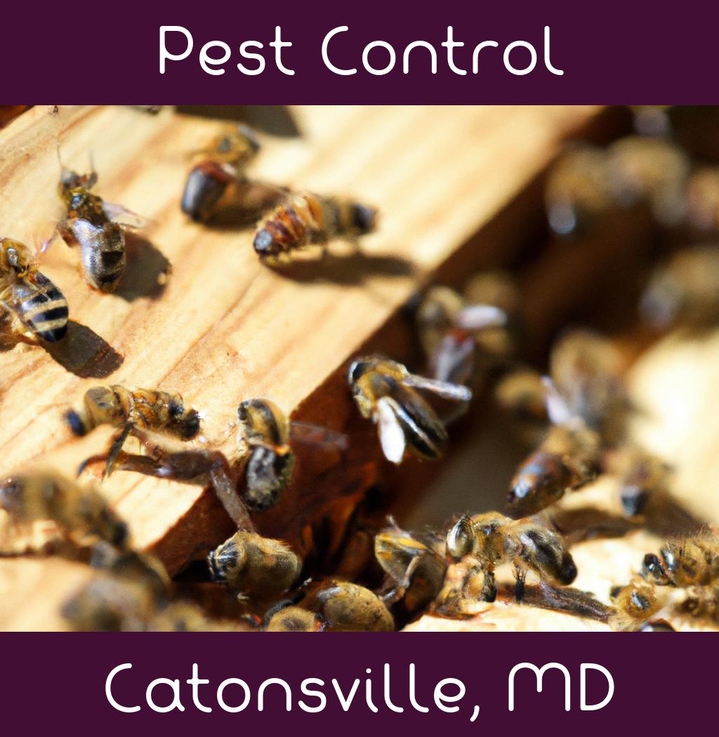 pest control in Catonsville Maryland