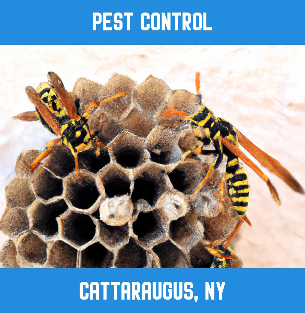 pest control in Cattaraugus New York