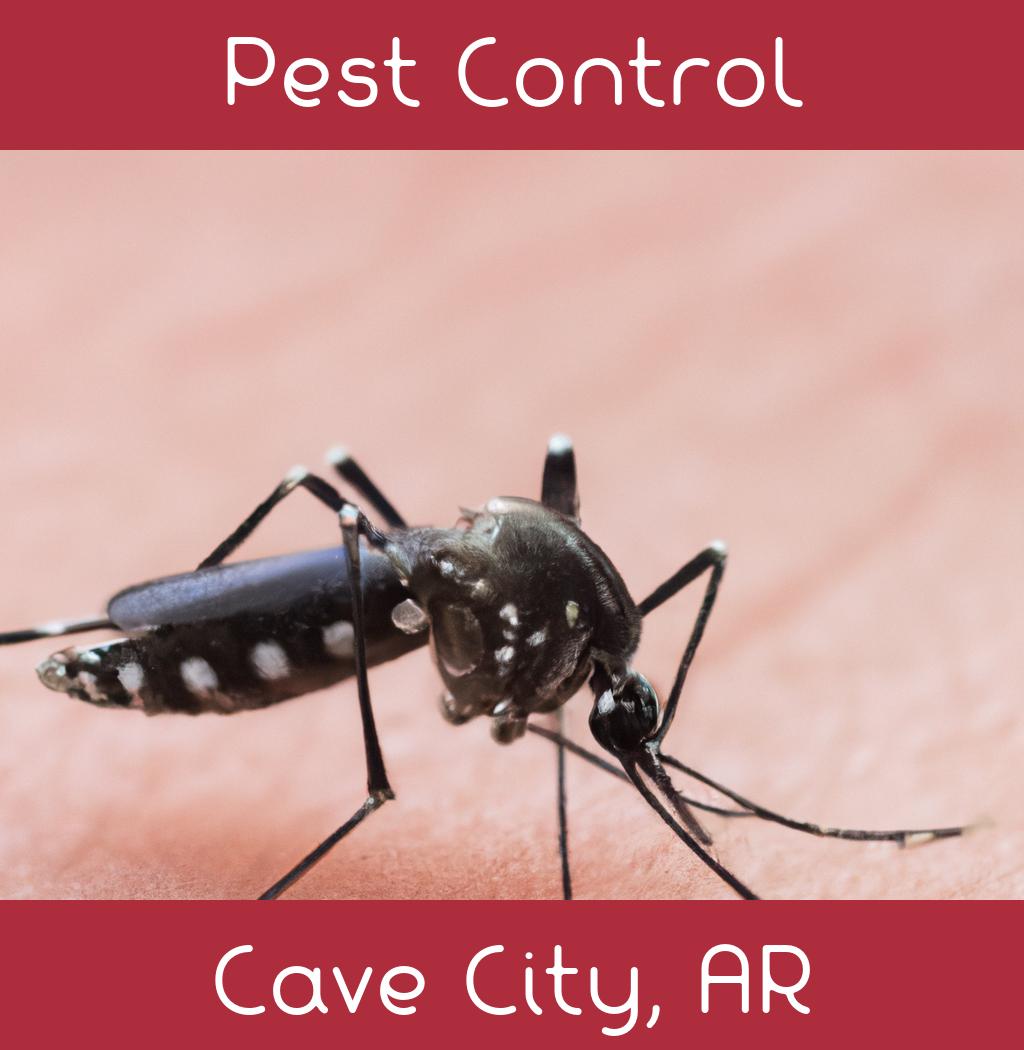 pest control in Cave City Arkansas