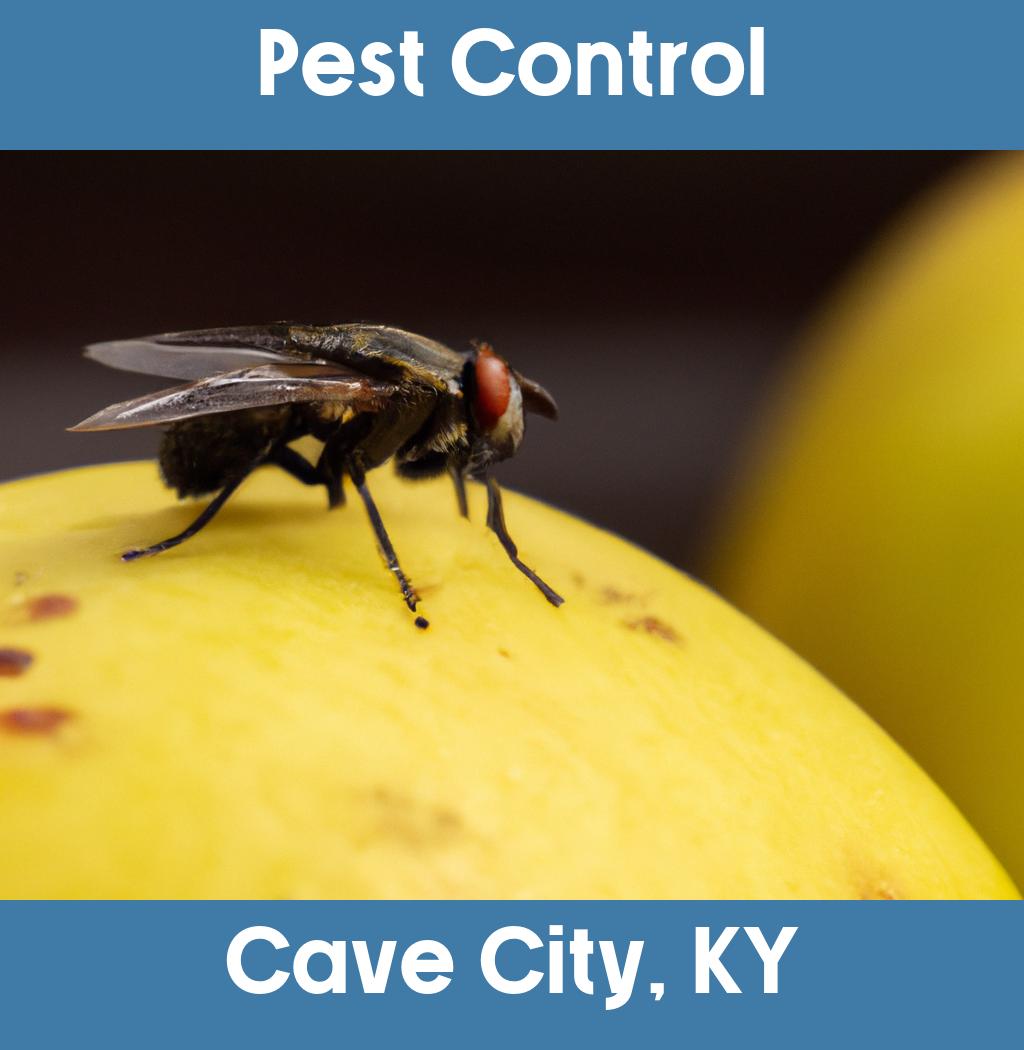pest control in Cave City Kentucky