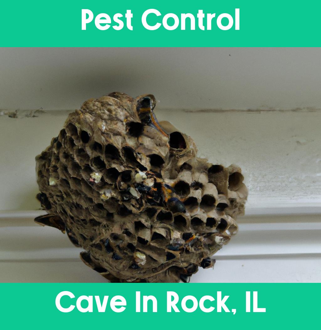 pest control in Cave In Rock Illinois