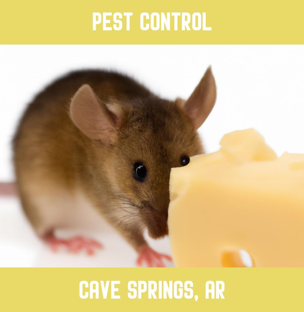 pest control in Cave Springs Arkansas