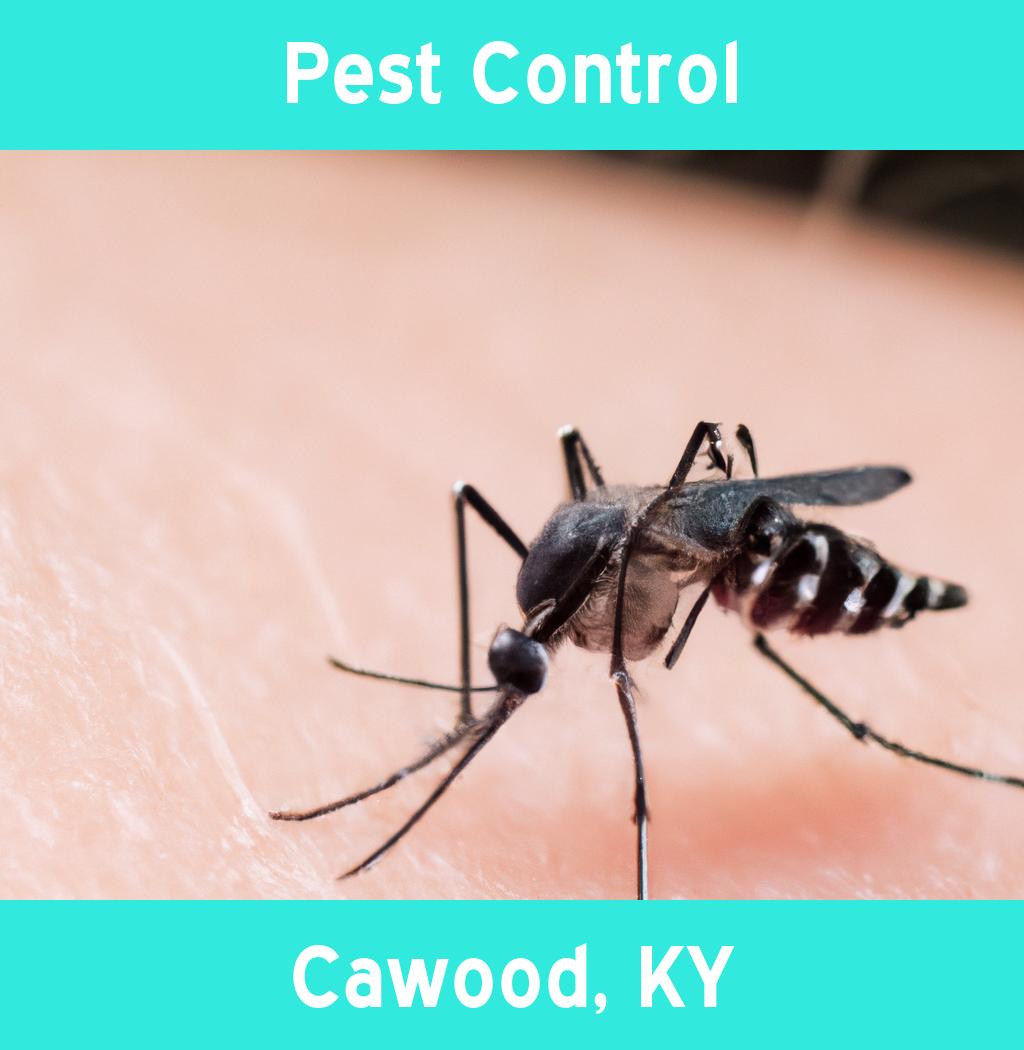 pest control in Cawood Kentucky