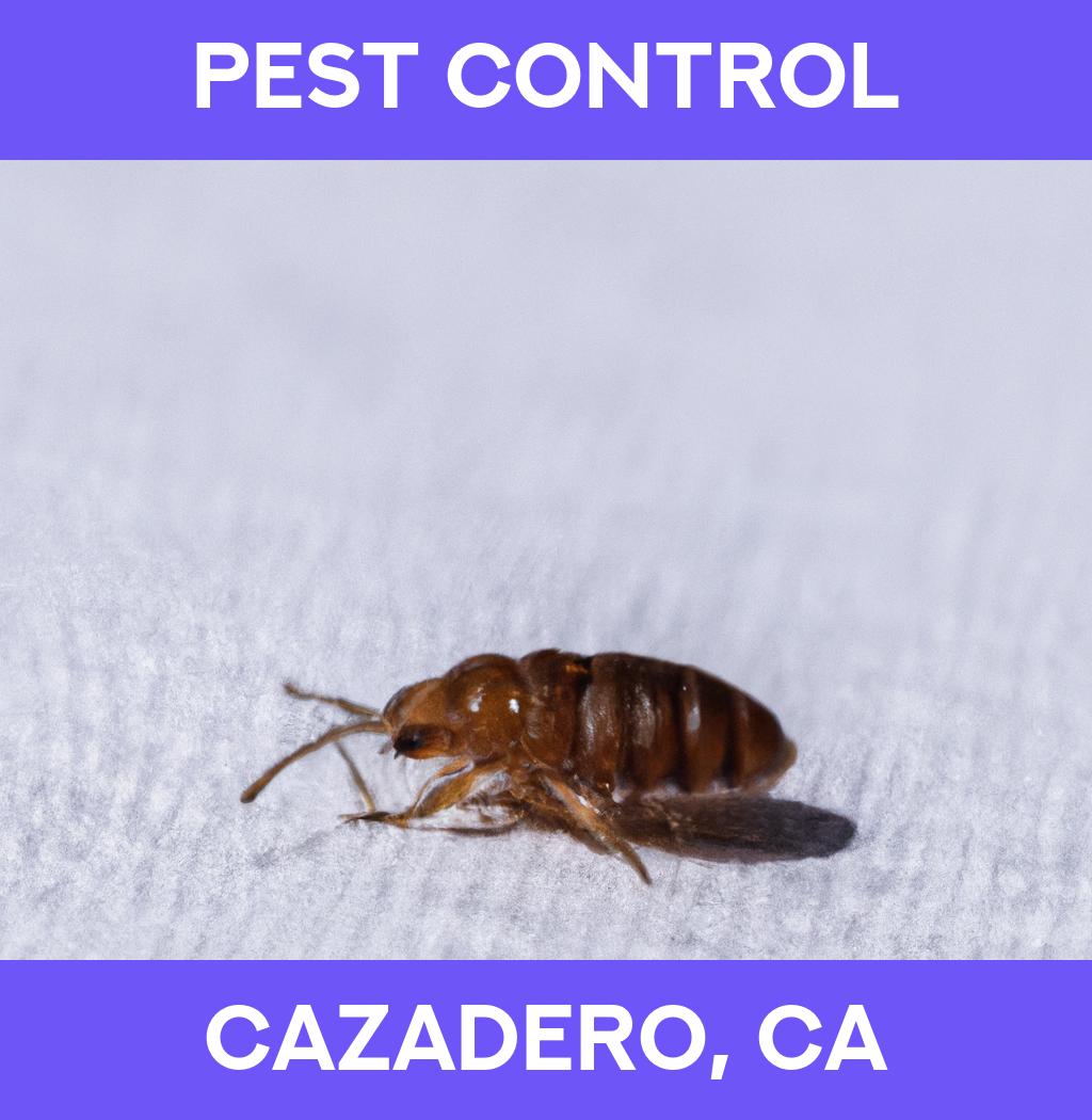 pest control in Cazadero California