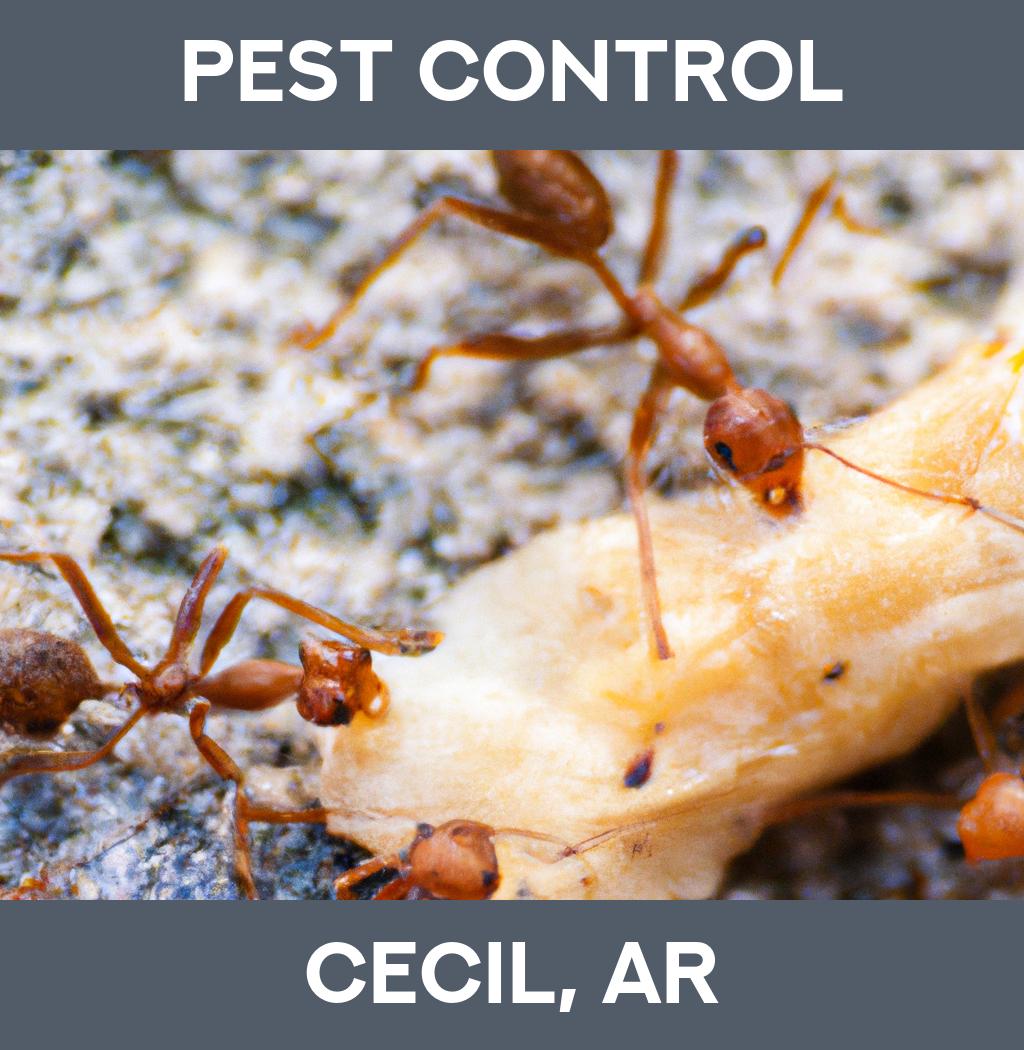 pest control in Cecil Arkansas