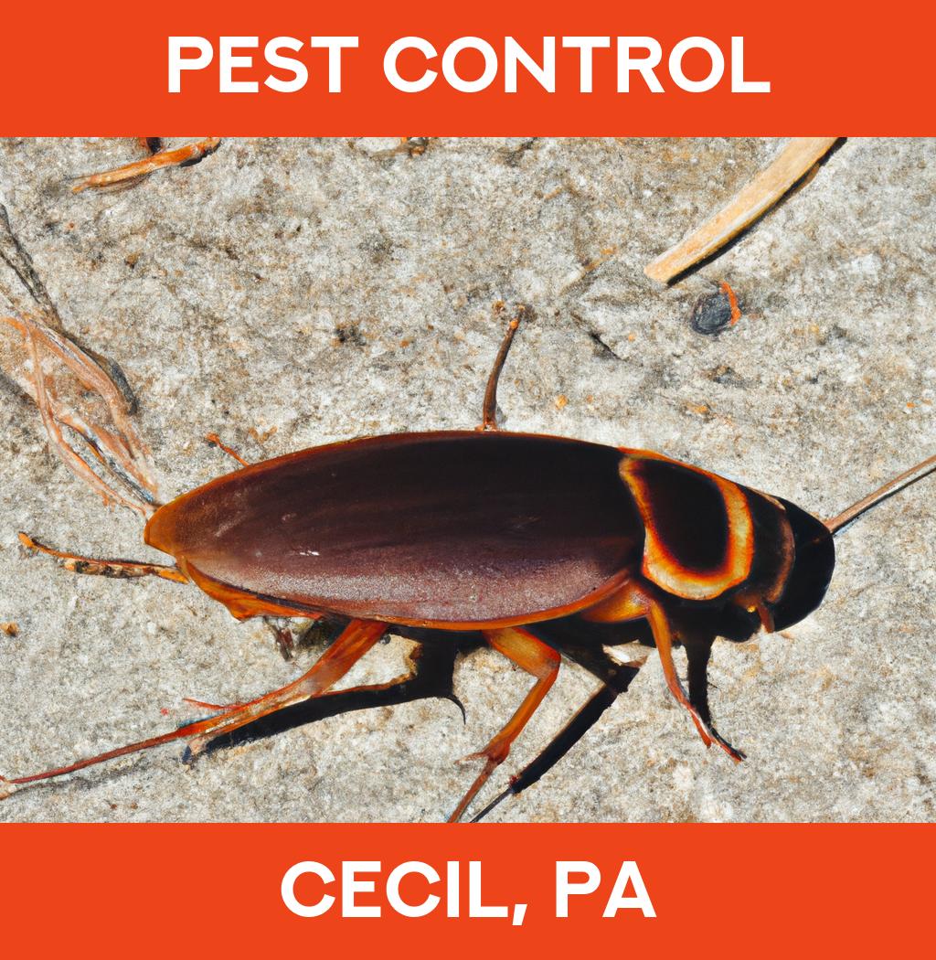 pest control in Cecil Pennsylvania
