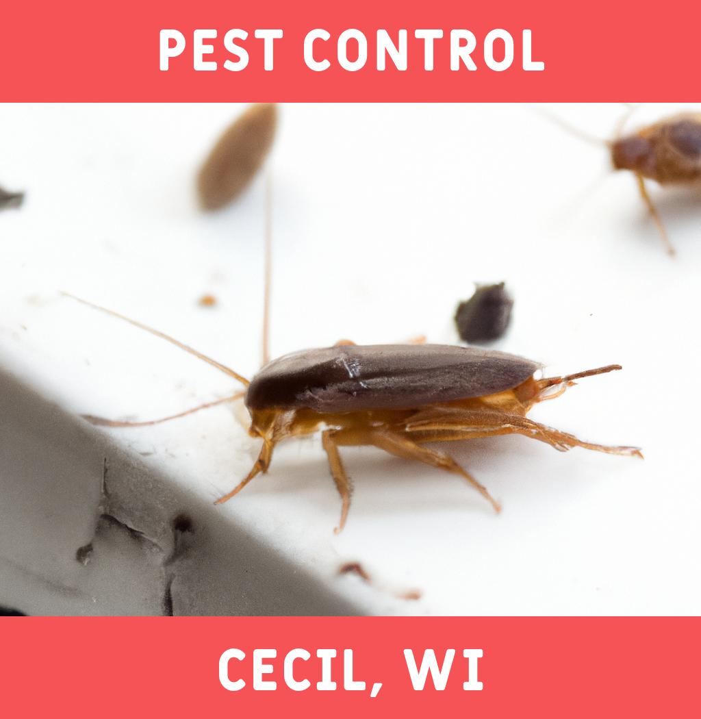 pest control in Cecil Wisconsin