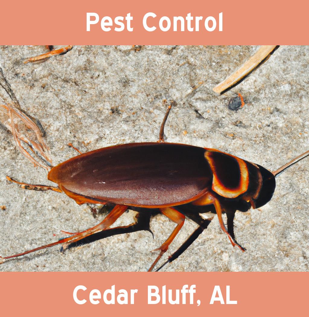 pest control in Cedar Bluff Alabama