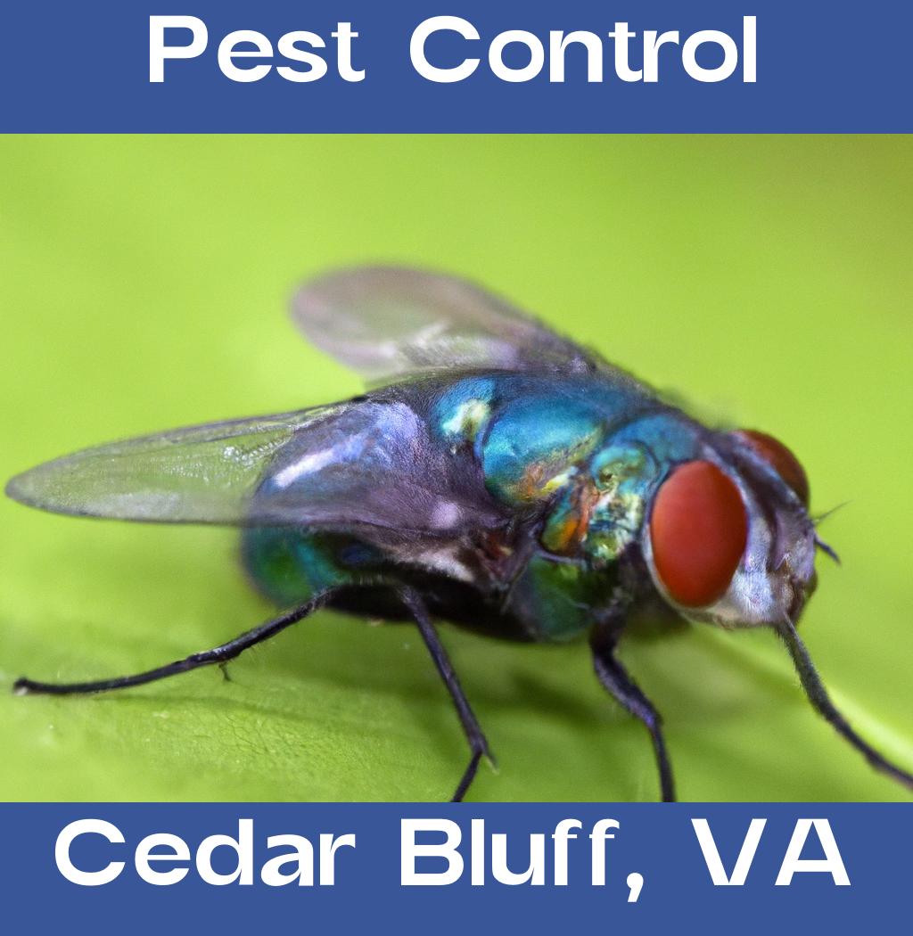 pest control in Cedar Bluff Virginia