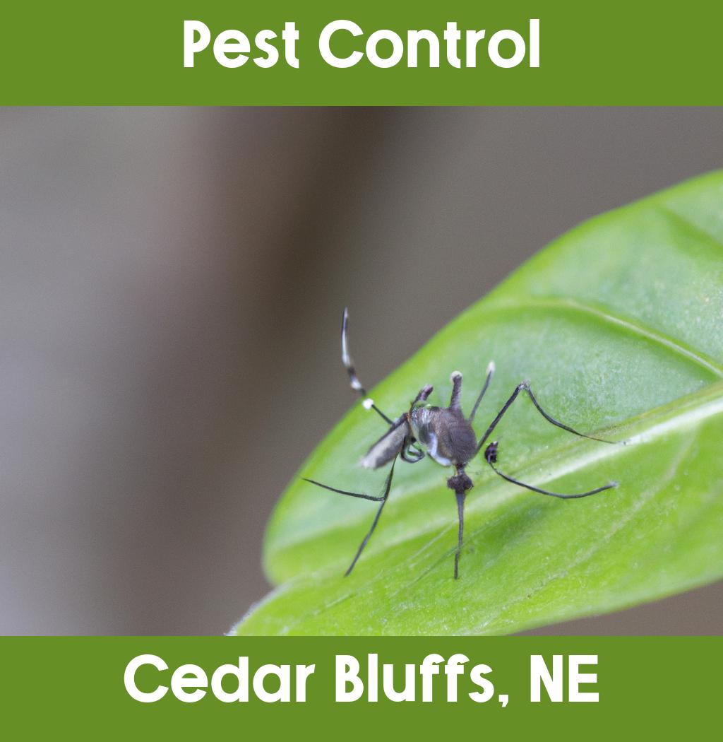 pest control in Cedar Bluffs Nebraska