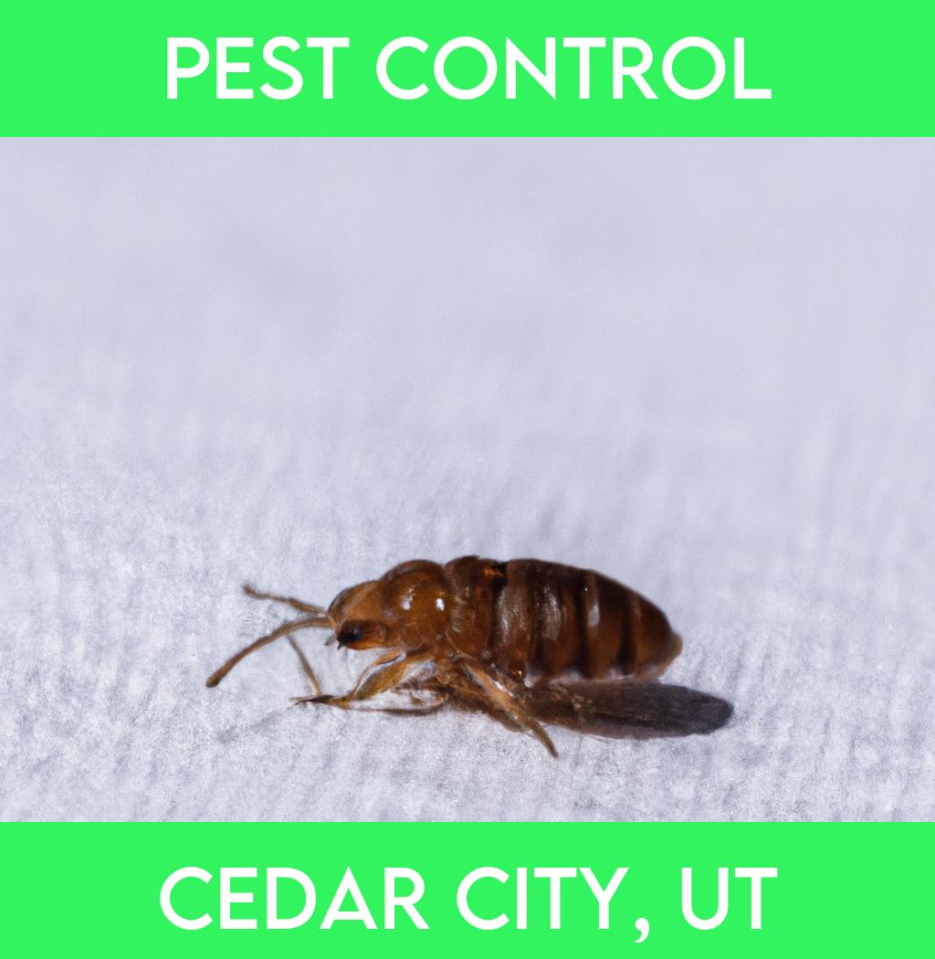 pest control in Cedar City Utah