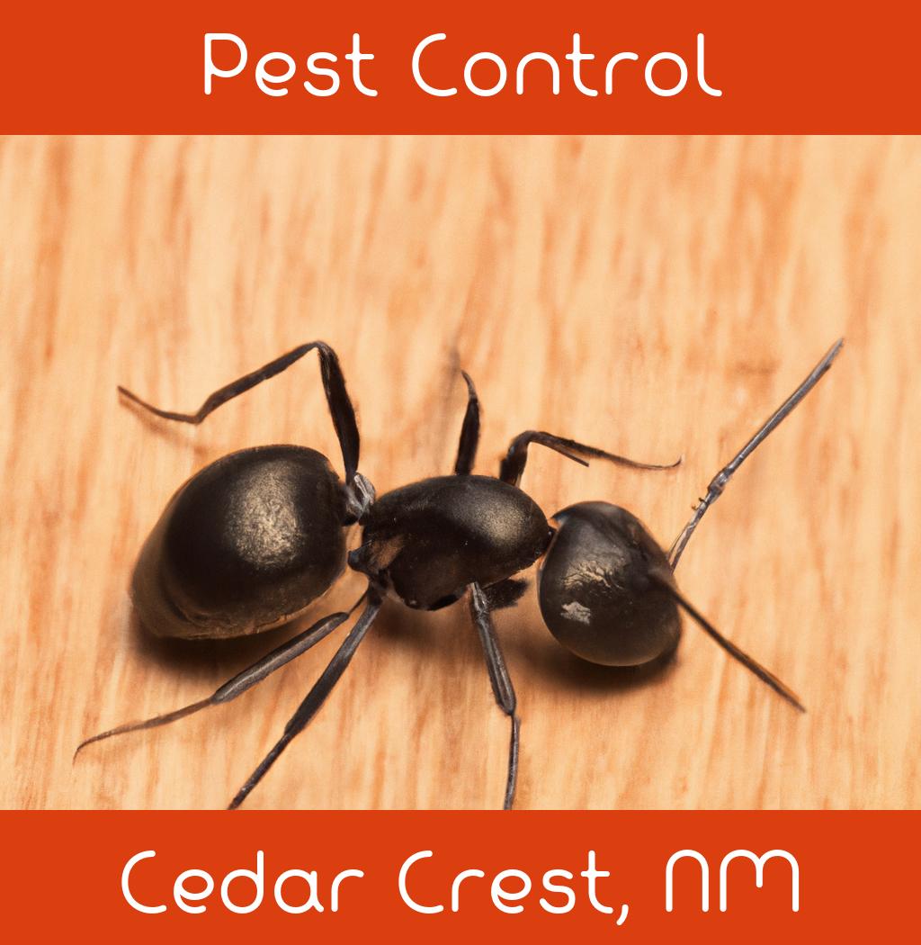 pest control in Cedar Crest New Mexico