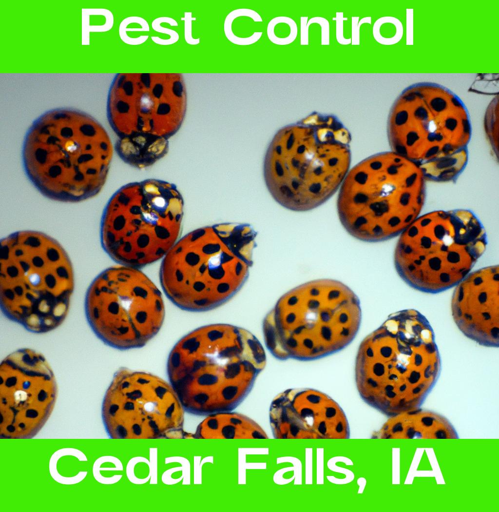pest control in Cedar Falls Iowa