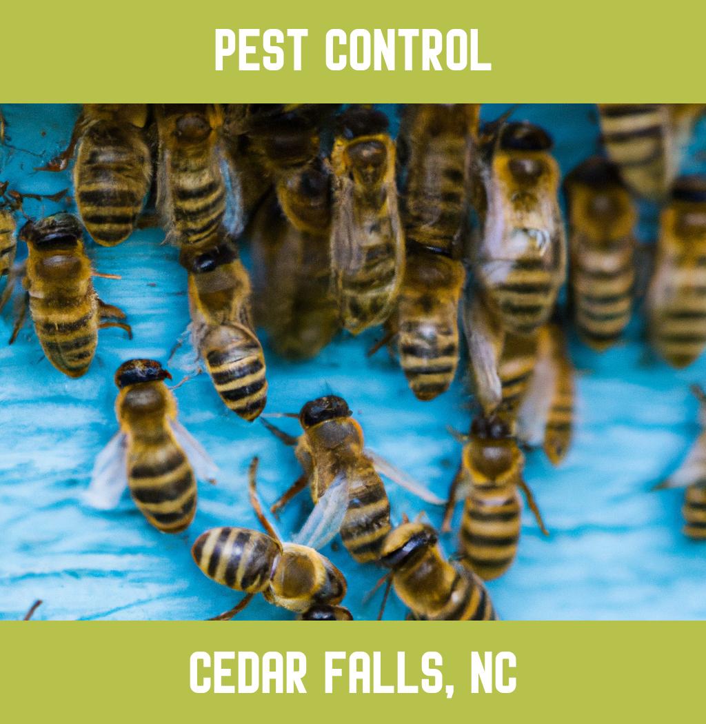 pest control in Cedar Falls North Carolina