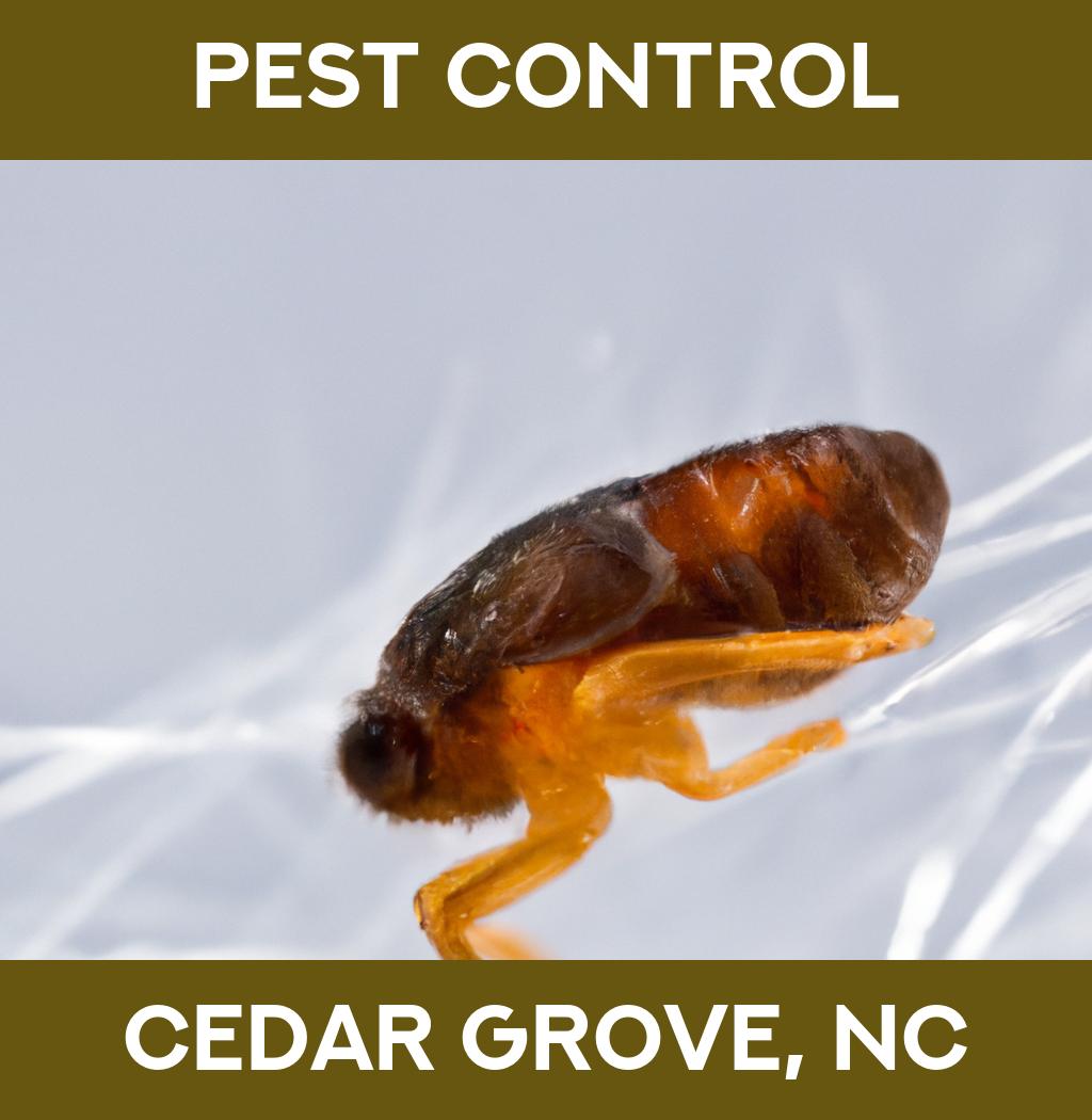 pest control in Cedar Grove North Carolina