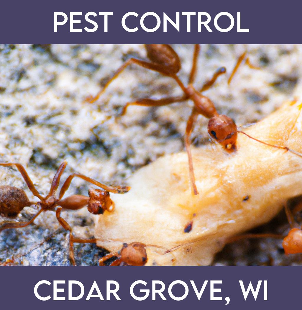 pest control in Cedar Grove Wisconsin