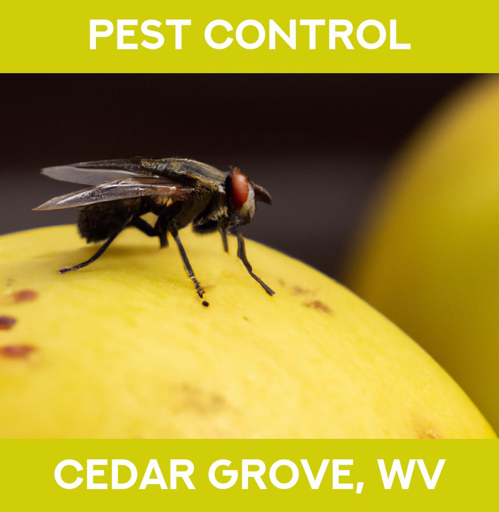 pest control in Cedar Grove West Virginia